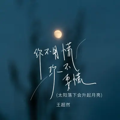 你不要慌你不用慌(太阳落下会升起月亮)(伴奏)封面