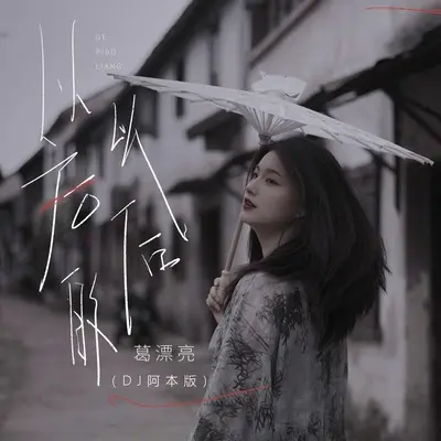 以后的以后(DJ阿本版伴奏) - 葛漂亮封面