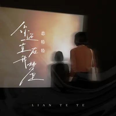 你还一直在我梦里(伴奏) - 恋特特封面