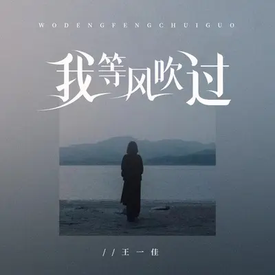 我等风吹过(DJ九零版伴奏)封面