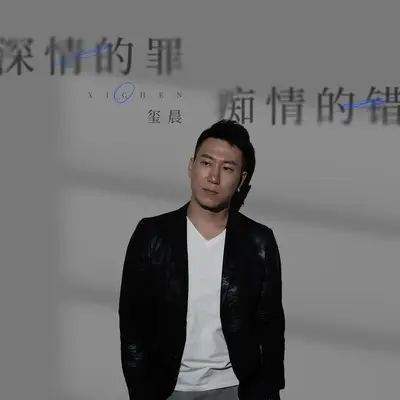 深情的罪 痴情的错(DJ九零版伴奏)封面