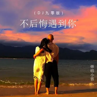 不后悔遇到你(DJ九零版伴奏)封面