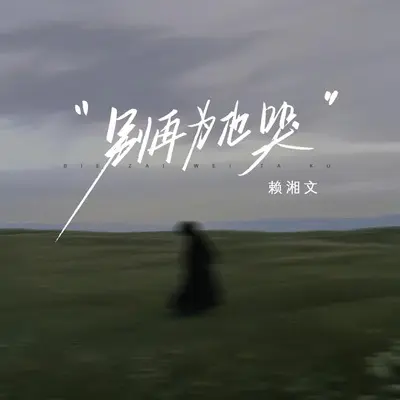 别再为他哭(伴奏)封面