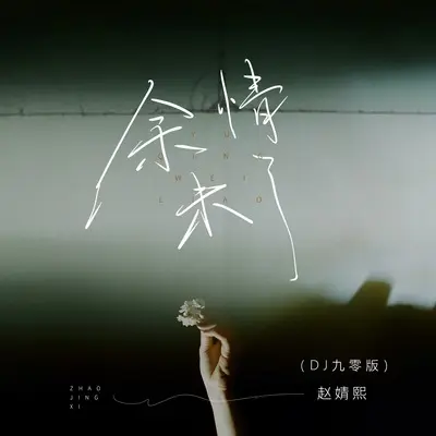 余情未了(DJ九零版伴奏)封面