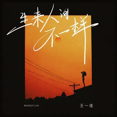 生来人间不一样(DJ彭锐版伴奏)封面