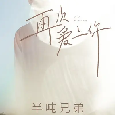 再次爱上你 (DJ九零版伴奏)封面