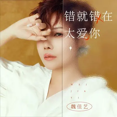 错就错在太爱你(伴奏)封面