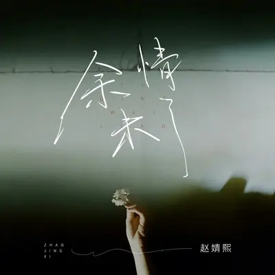余情未了(伴奏)封面