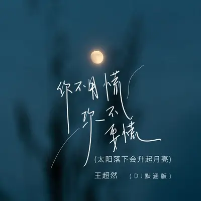 你不要慌你不用慌(太阳落下会升起月亮)(DJ默涵版伴奏) - 王超然封面