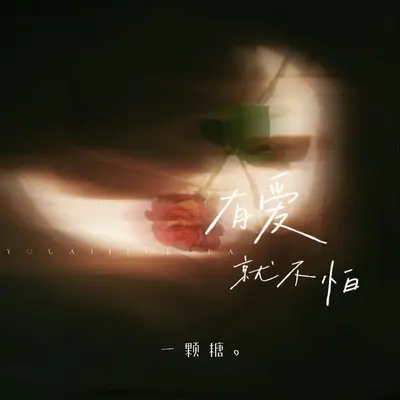 有爱就不怕(伴奏)封面