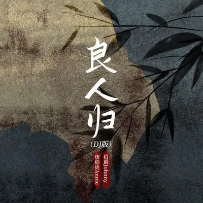 良人归（DJ铁柱版）封面