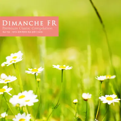 Schumann: Fantasie In C Major Op.17 - I - Various Artists封面