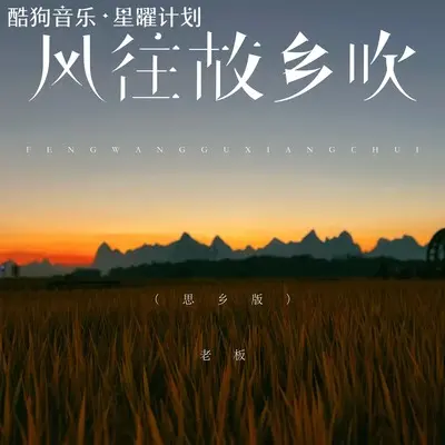 风往故乡吹（思乡版）封面