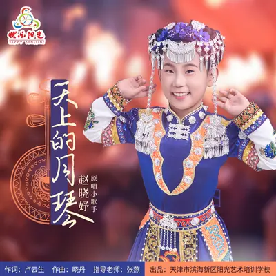 天上的月琴封面