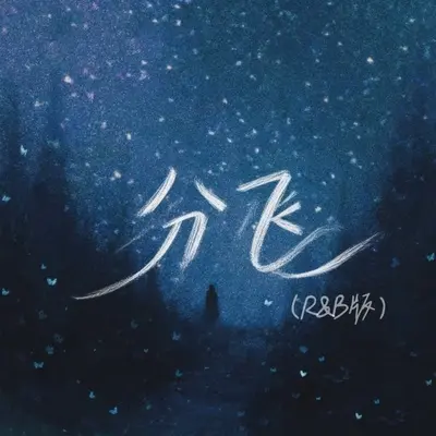 分飞（R&B剪辑版）封面