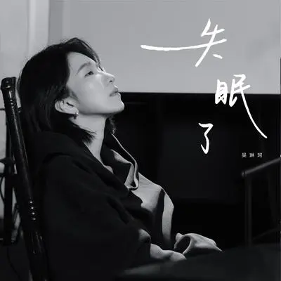 失眠了(抒情版)封面