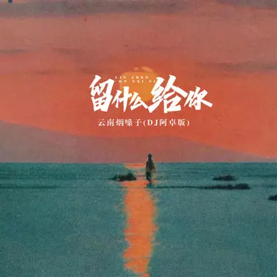 留什么给你（DJ版）封面