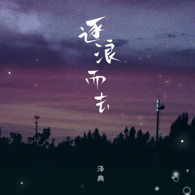 逐浪而去封面