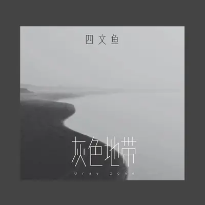 灰色地带封面