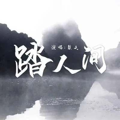 踏人间(DJ沈念版)(DJ沈念版)封面