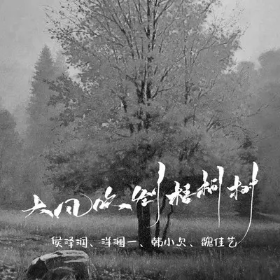 大风吹倒梧桐树 (合唱版) - 侯泽润 / 洋澜一 / 魏佳艺 / 韩小欠封面