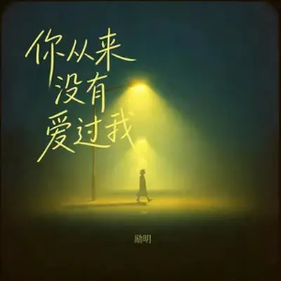 你从来没有爱过我 - 励明封面