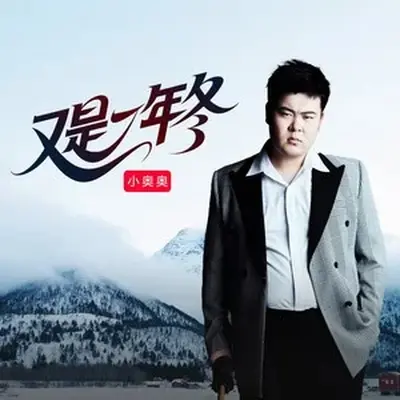 又是一年冬封面