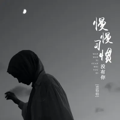 慢慢习惯没有你(Live合唱版)封面