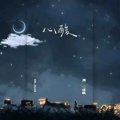 心酸封面