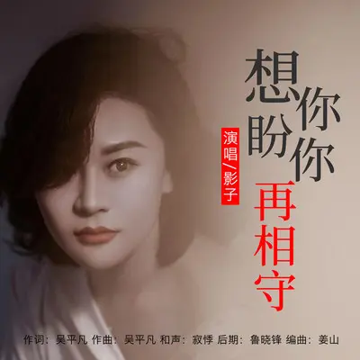 想你盼你再相守（舞曲版） - 影子封面
