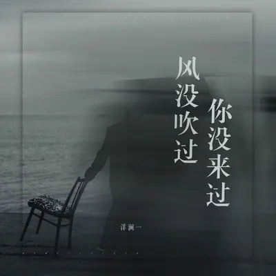 风没吹过你没来过（Live合唱版）封面