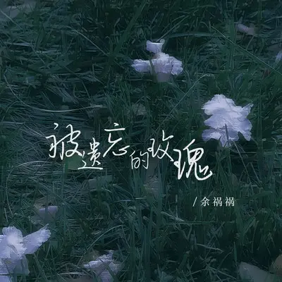 被遗忘的玫瑰(DJ版伴奏)封面