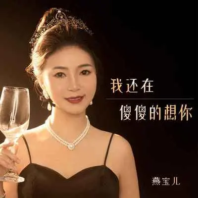 我还在傻傻的想你(和声伴奏)封面