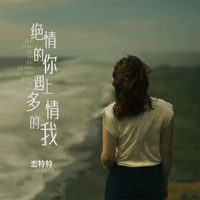 绝情的你遇上多情的我封面