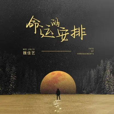 命运的安排(Live合唱版) - 魏佳艺封面