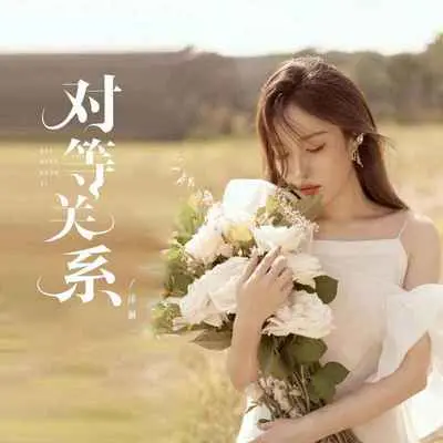 对等关系(伴奏)封面
