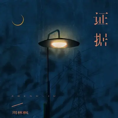 证据封面