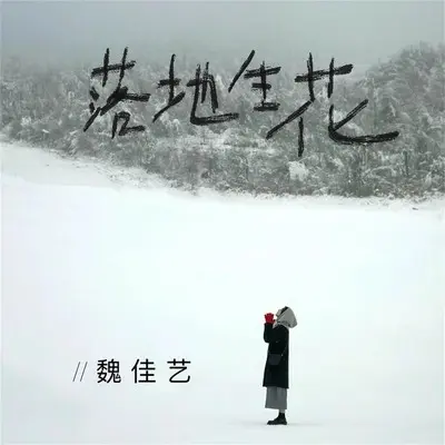 落地生花(DJ默涵版伴奏) - 魏佳艺封面