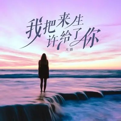 我把来生许给了你(伴奏)封面