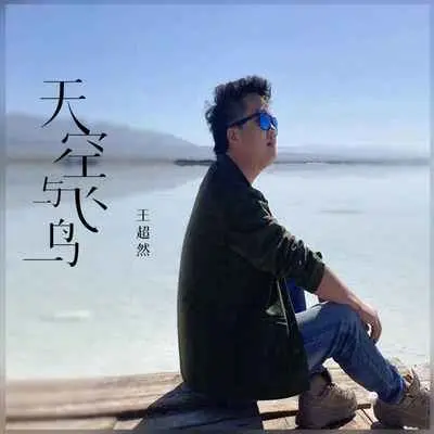 天空与飞鸟(男版)封面