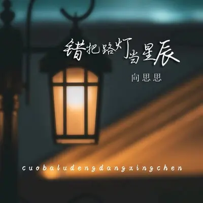 错把路灯当星辰（live合唱版）封面