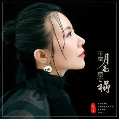 不是月亮惹的祸(伴奏) - 花僮封面