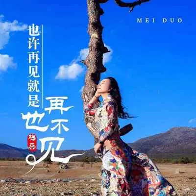 也许再见就是再也不见封面