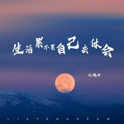 生活累不累自己去体会(伴奏)封面