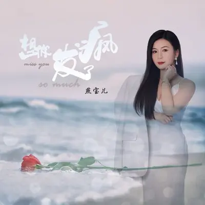 想你发了疯(DJ默涵版伴奏)封面