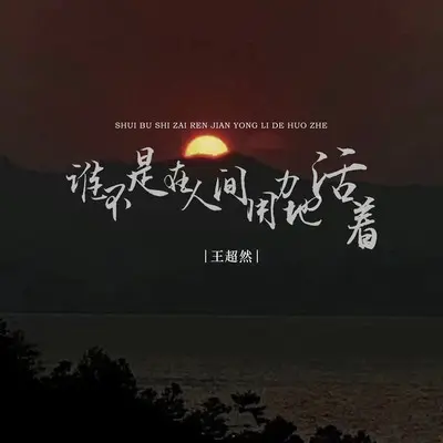 谁不是在人间用力地活着(DJ版)封面