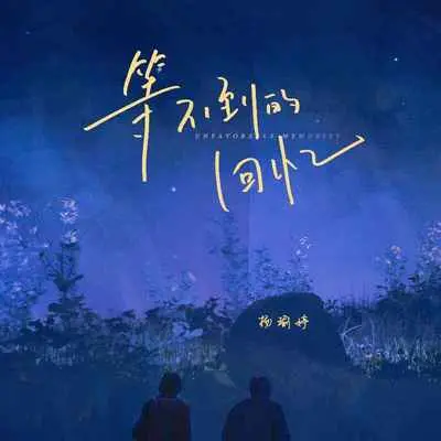 等不到的回忆封面