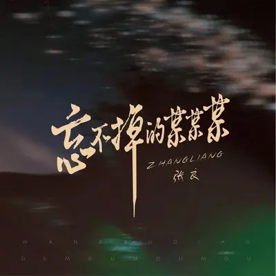 忘不掉的某某某封面