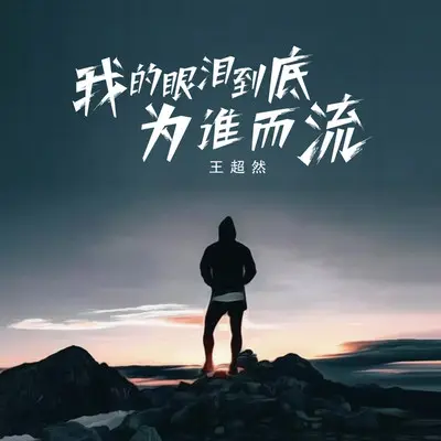 我的眼泪到底为谁而流封面