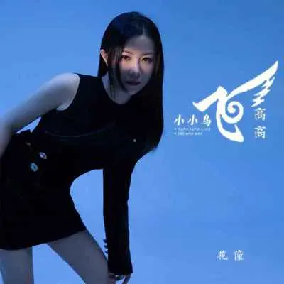 小小鸟飞高高(DJ默涵版)封面